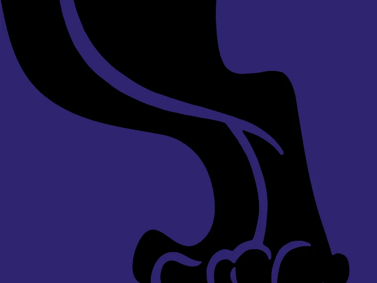 Open-Air Platzhalter 2526. Foto: 